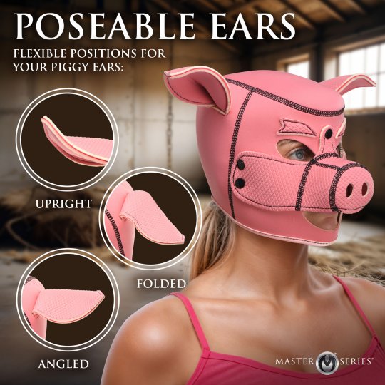 Swine Pig Neoprene Hood And Piggy Tail Anal Plug Bundle