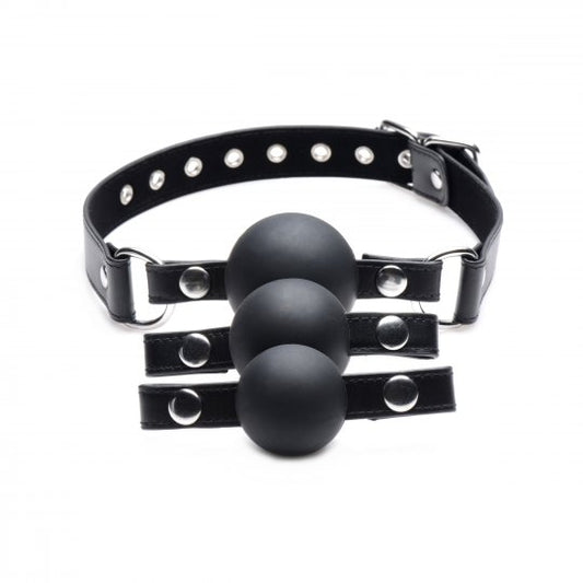 Interchangeable Silicone Ball Gag Set